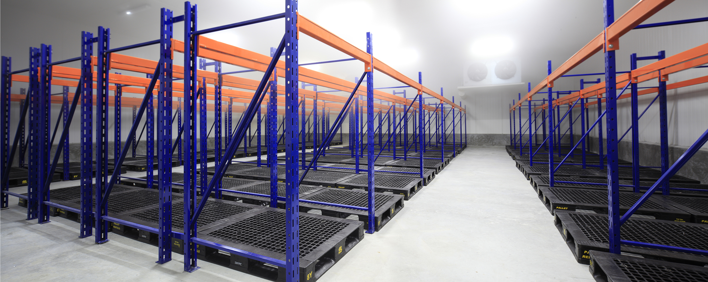 菲律宾 冷冻间-1.jpg